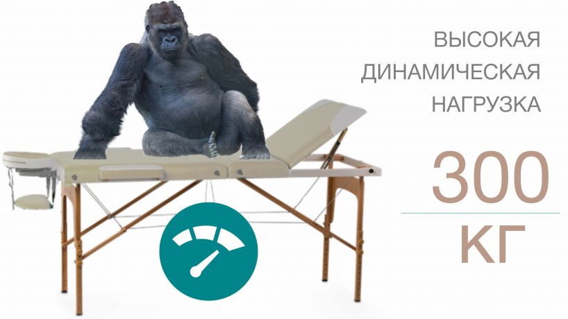 Массажный стол Bodo Leman